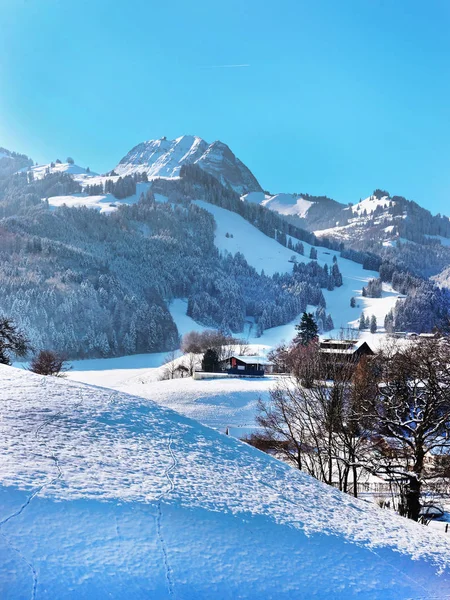 Kış Manzara Gruyeres Ünlü Tarım Bölge Gruyere Peynir Fribourg Sviçre — Stok fotoğraf