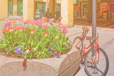 Münih, Almanya - 8 Mayıs 2013: Bisiklet sokak flowerbed ve çiçek açan çiçekler Merkezi Münih Almanya, Europe yakınındaki Park etmiş. Yakındaki kişileri. Tonda güneş ışığı
