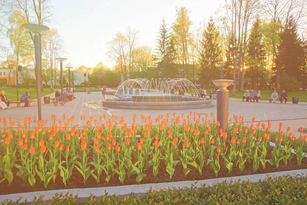 Druskininkai 立陶宛 2014年4月28日 在立陶宛 Druskininkai 中央公园喷泉的郁金香花 背景的人 阳光色调 — 图库照片