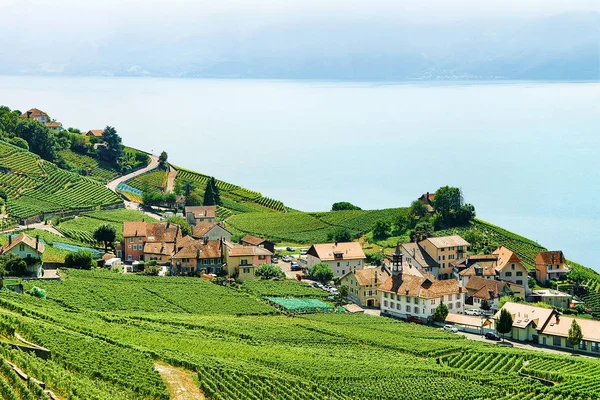 Lavaux Szwajcaria Sierpnia 2016 Wsi Regionie Lavaux Winnica Tarasy Pieszej — Zdjęcie stockowe