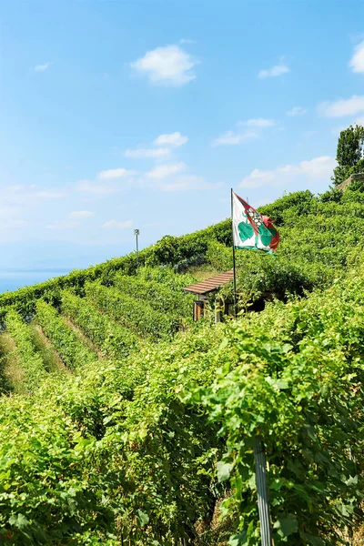 Lavaux Schweiz August 2016 Schutzhaus Mit Fahne Weinbergterrassen Wanderweg Von — Stockfoto