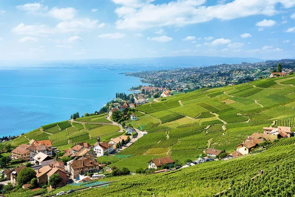 Lavaux Suisse Août 2016 Terrasses Vignoble Lavaux Lac Léman Montagnes — Photo