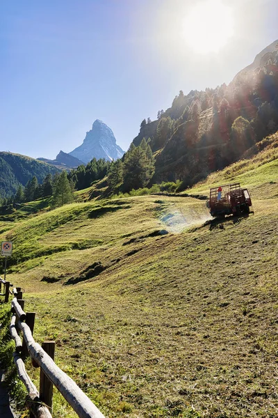 Zermatt Suíça Agosto 2016 Topo Montanha Matterhorn Vale Verde Zermatt — Fotografia de Stock