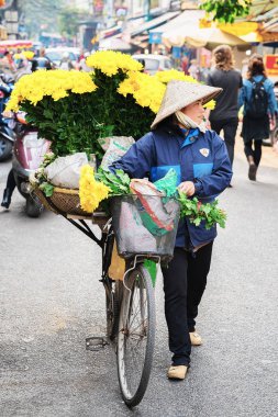 Hanoi, Vietnam - 21 Şubat 2016: Vietnamlı şapkası geleneksel: Hanoi, Vietnam için semt pazarı, çiçek satan Bisiklet kadında