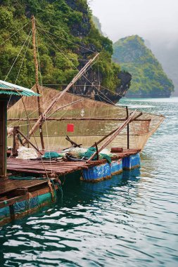 İstiridye grupta kayan balıkçı köyü Ha Long Bay, Vietnam