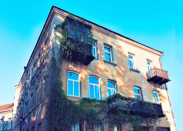 Fragment Ivy Mantled Building Toned — Stock Photo, Image