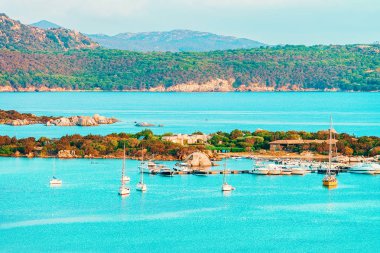 Porto Rotondo Golfo Aranci Costa Smeralda İtalya'da Sardunya at