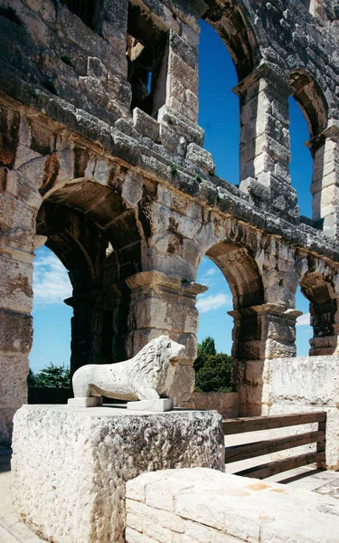 Pula Kroatien Augusti 2013 Lejon Statyn Amphiteater Pula Kroatien Roman — Stockfoto