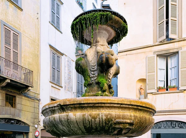 Frammento Fontana Gombito Gombito Nella Città Bassa Bergamo Lombardia — Foto Stock