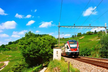 Lavaux, İsviçre - 30 Ağustos 2016: Lavaux Vineyard Terraces yürüyüş parkurunda tren koşu, İsviçre'nin Lavaux-Oron bölgesi