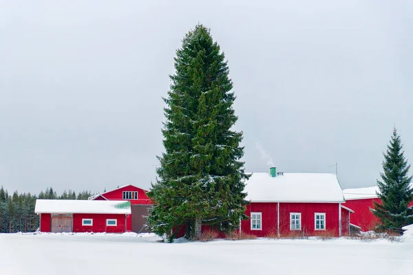 Dům Sněhu Zimní Les Vánoce Finsku Laponsku — Stock fotografie