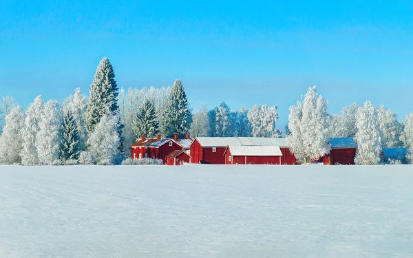 Huis Sneeuw Winter Bos Met Kerstmis Finland Lapland — Stockfoto