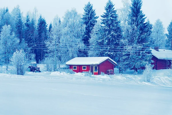 Casa Nieve Bosque Invierno Navidad Finlandia Laponia — Foto de Stock