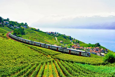 Lavaux, İsviçre - 30 Ağustos 2016: Cenevre Gölü ve İsviçre Alpleri yakınlarındaki Lavaux Vineyard Terraces yürüyüş parkurunda tren koşu, İsviçre'nin Lavaux-Oron bölgesi