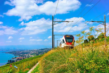 Lavaux, İsviçre - 30 Ağustos 2016: Cenevre Gölü ve İsviçre dağlarında Lavaux Vineyard Terraces yürüyüş parkurunda tren koşu, İsviçre Lavaux-Oron bölgesi
