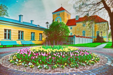 Ventspils Kale ve lale Letonya, Avrupa Eski şehir çiçektarlık içinde. Kale Livonian Tarikatı tarafından inşa edilmiştir. Livonya Tarikatı tarafından inşa edilen en eski kaledir. Tonda