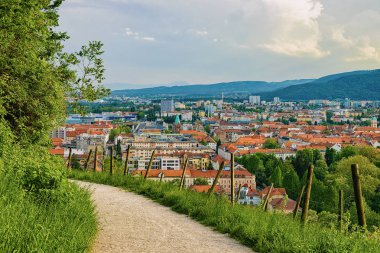 Piramida Tepesi'ndeki Üzüm Bağları'ndaki Patika ve Maribor şehir manzarası, Aşağı Steierdi, Slovenya