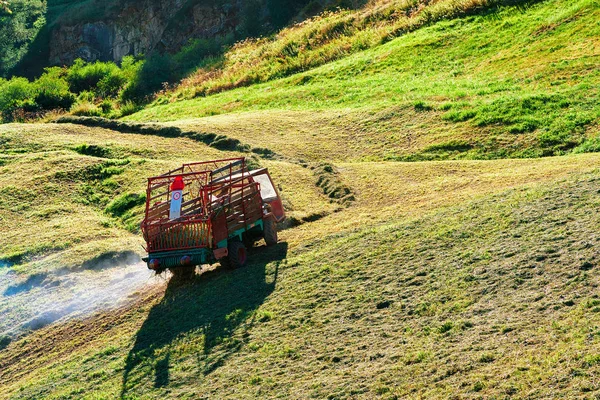 Zermatt Schweiz Augusti 2016 Arbetstagare Som Utför Jordbruksarbete Som Att — Stockfoto