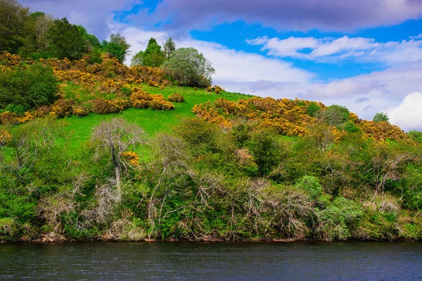 Natureza Lago Loch Ness Escócia Loch Ness Uma Cidade Reino — Fotografia de Stock
