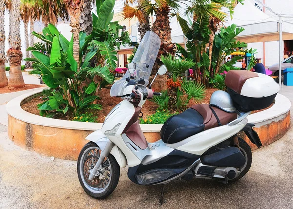 Motorroller Der Straße Von San Vito Capo Sizilien Italien — Stockfoto