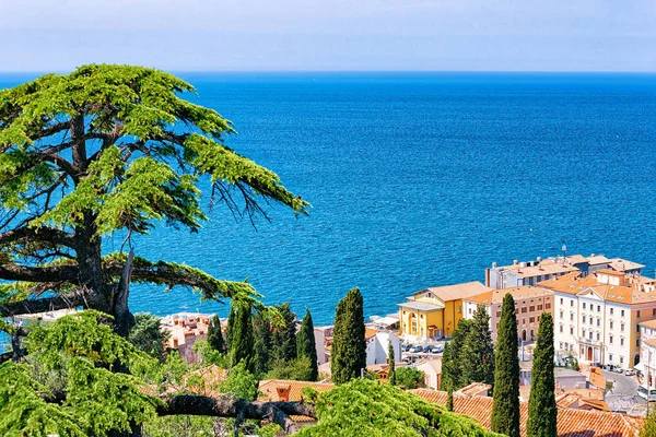 Cityscape Van Piran Oude Stad Adriatische Zee Slovenië — Stockfoto