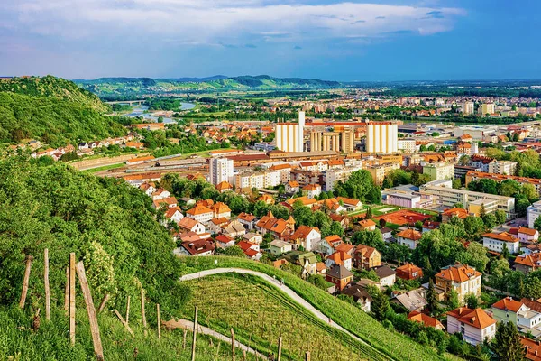 Vinice Kopci Piramida Panoráma Maribor Dolní Štýrsko Slovinsko — Stock fotografie