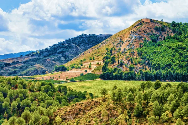 Landskap Och Väg Segesta Sicilien Island Italien — Stockfoto