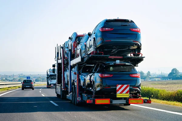 Samochody Ciężarówkę Przewoźnika Drogę Asfaltową Polska Truck Transporter — Zdjęcie stockowe