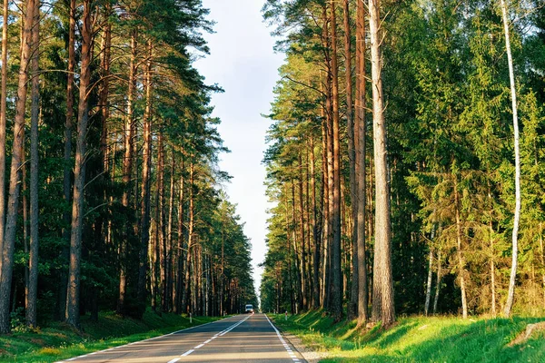 Paisaje Carretera Bosque Polonia —  Fotos de Stock