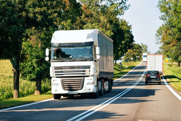 Truk Jalan Polandia Transportasi Lorry Memberikan Beberapa Kargo — Stok Foto
