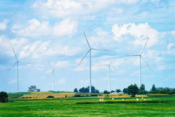 Scenery Wind Mills Field Poland — Stock Photo, Image