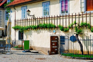 Maribor, Aşağı Styria, Slovenya eski şehir merkezinde Zametovka asma ile House