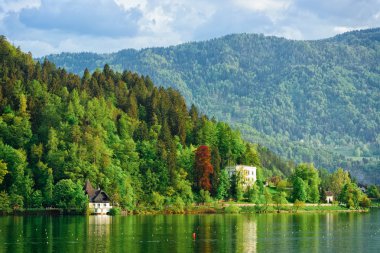 Bled Gölü manzarası, Slovenya