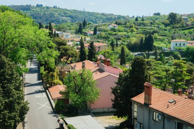 Slovenya'daki Strunjan Milli Parkı'nda ev bulunan sokak