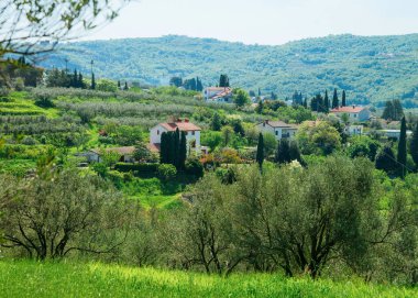 Slovenya'daki Strunjan Milli Parkı'ndaki peyzaj ve villalar