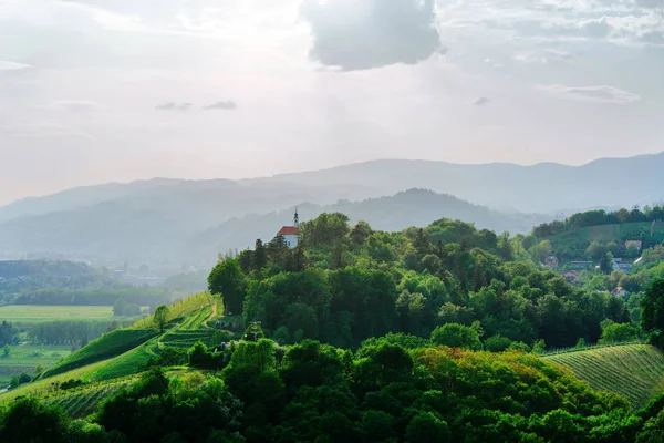 Зеленые Холмы Мариборе Нижняя Штирия Словения — стоковое фото