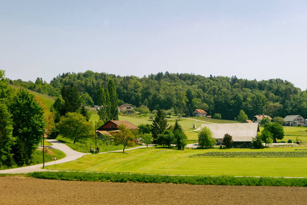 Green fields in Maribor, Lower Styria, in Slovenia