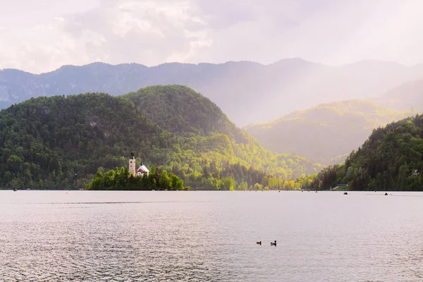 Vacker Natur Med Kyrka Mitten Bled Sjön Slovenien — Stockfoto
