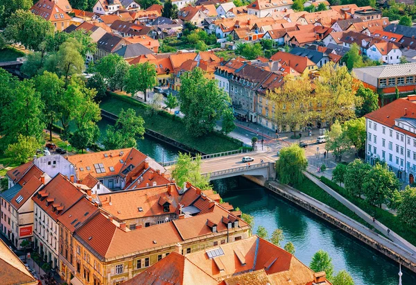 Ljubljana Szlovénia Április 2018 Ljubljana Cityscape Ház Építészeti Ljubljanica Folyó — Stock Fotó