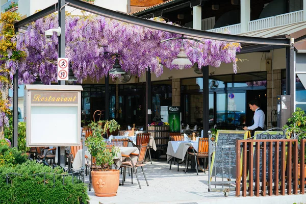 Izola Słowenia Kwietnia 2018 Wejście Wisteria Fioletowe Kwiaty Restauracji Street — Zdjęcie stockowe