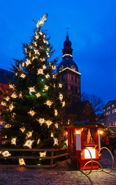 ラトビアの冬のリガのドーム広場のリガ大聖堂のクリスマスツリー — ストック写真