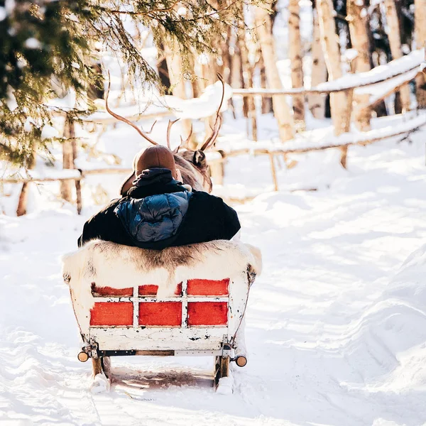 Uomo Alla Slitta Delle Renne Finlandia Lapponia Inverno — Foto Stock