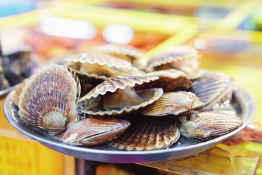 Busan, Güney Kore'de Jagalchi ünlü balık pazarında Taze istiridye Satışı