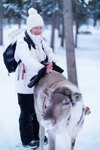 Giovane Donna Sorridente Che Accarezza Renne Sulla Schiena Inverno Rovaniemi — Foto Stock