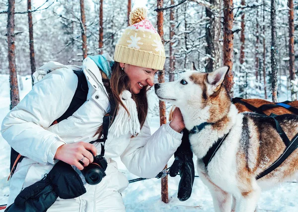 Menina Husky Cão Trenó Finlândia Lapônia Inverno — Fotografia de Stock