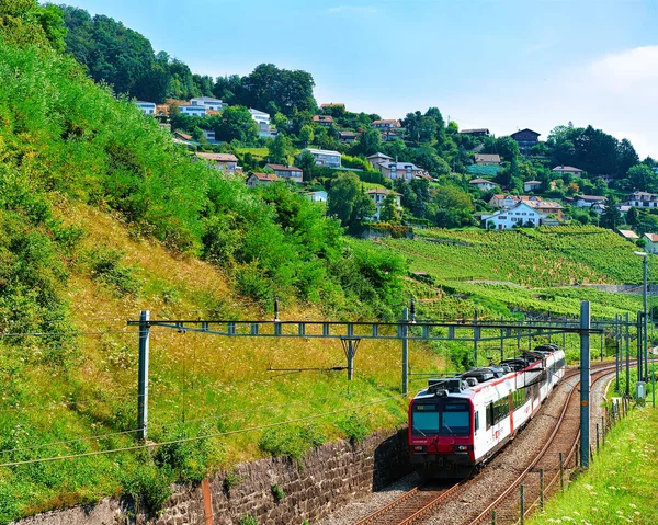 Lavaux Suiza Agosto 2016 Tren Ruta Lavaux Vineyard Terrace Distrito — Foto de Stock