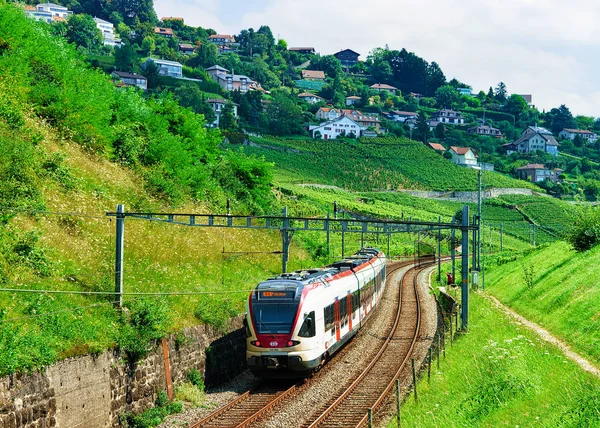 Lavaux Suiza Agosto 2016 Tren Ferrocarril Lavaux Vineyard Terraces Sendero — Foto de Stock