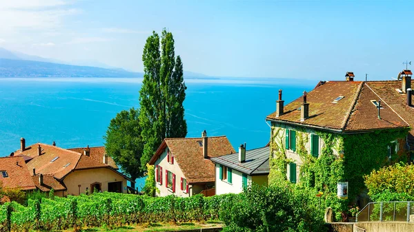 Lavaux Svizzera Agosto 2016 Chalets Vineyard Sentiero Escursionistico Lavaux Lago — Foto Stock