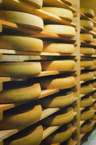 Fransa Olgunlaşma Mahzeninde Ahşap Raflarda Olgunlaşan Peynir Rafları Franche Comte — Stok fotoğraf