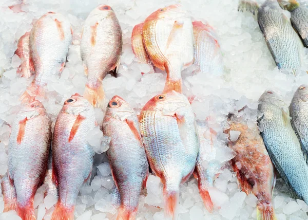 Penjualan Ikan Segar Segar Jagalchi Pasar Ikan Terkenal Busan Korea — Stok Foto